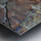 Ancient petroglyphs showcasing animal figures and geometric designs Crane Petroglyph Site Verde Valley Arizona Metal print