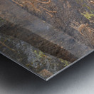 Ancient petroglyphs showcasing animal figures and geometric designs Crane Petroglyph Site Verde Valley Arizona Metal print