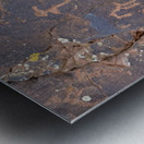 KO D22046a Metal print