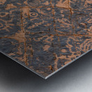 KO D22499 Metal print