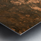 Petroglyphs near Atlatl Rock Valley of Fire State Park Nevada USA Metal print