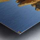 KO B76960 Metal print