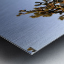 KO A11560 Metal print