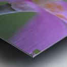 KO A18015 Metal print