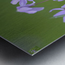 KO A18316 Metal print