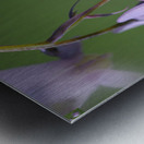 KO A48939 Metal print