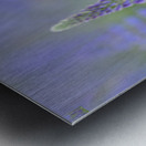 Farm in the Cowichan Valley Vancouver Island British Columbia Canada. Metal print