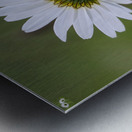 Farm in the Cowichan Valley Vancouver Island British Columbia Canada. Metal print