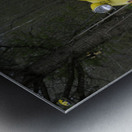 Citroen Ecluse 6 Planche de Belin Le Canal La Collancelle Nievre Burgundy FranceLock 6 Metal print