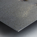 Metal fly sculpture on a house wall Tannay Nièvre Burgundy France Metal print