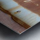 Rhyolite Nevada USA Metal print