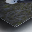 KO EC 14270 Metal print