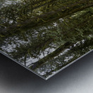 Lush Forest Metal print