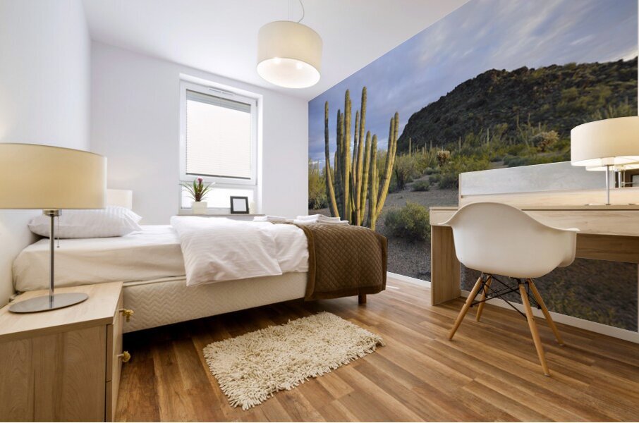 Organ Pipe Cactus Mural print