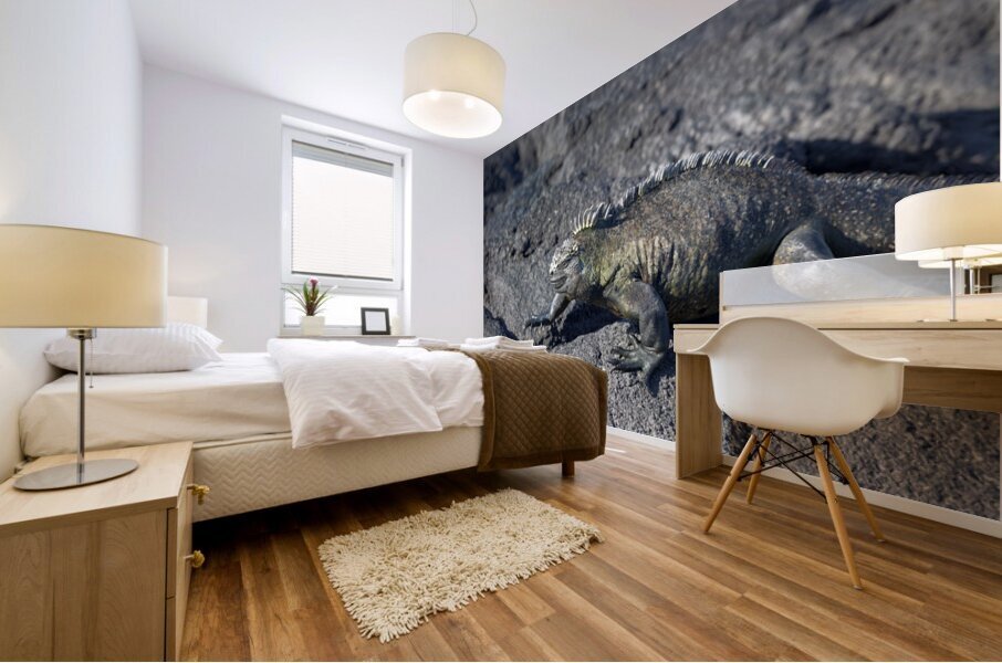 Marine Iguana Mural print