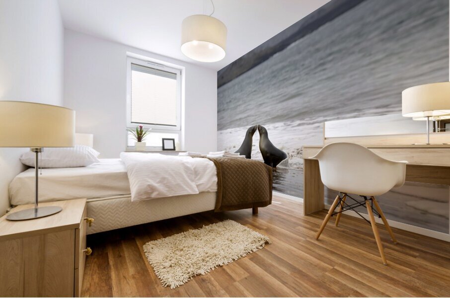 Galapagos sea lions Mural print