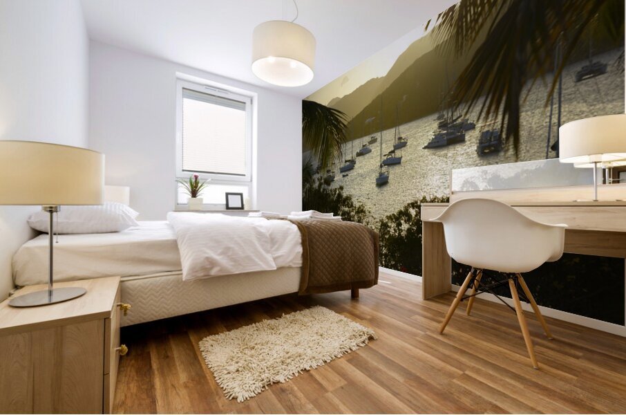 Catamarans and sailboats at the anchorage at Pussers Marina Cay Mural print