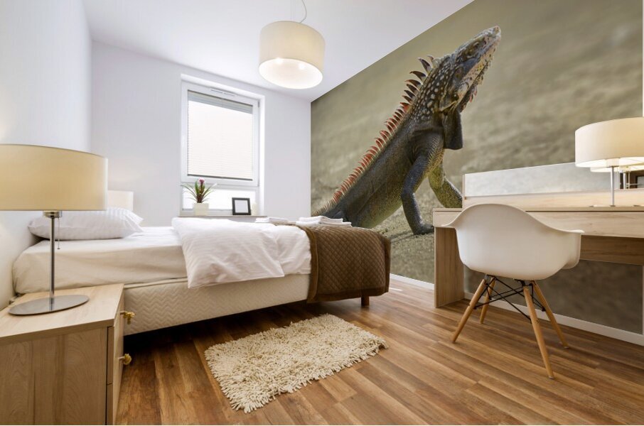 Green Iguana Mural print