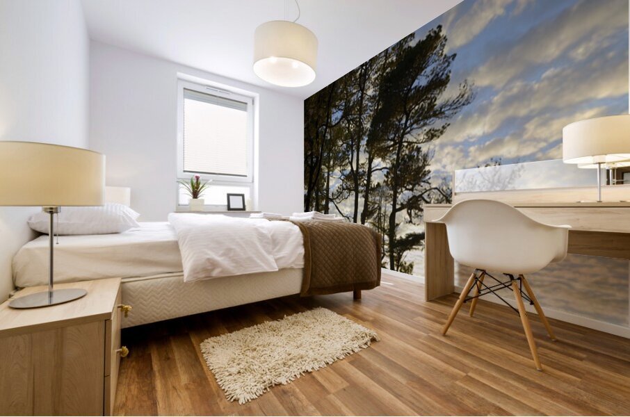 Gnarled trees at sunset Mural print