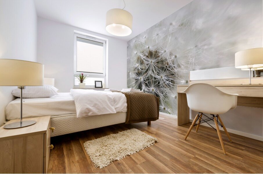 Dandelion Cowichan Valley Vancouver Island British Columbia Canada Mural print