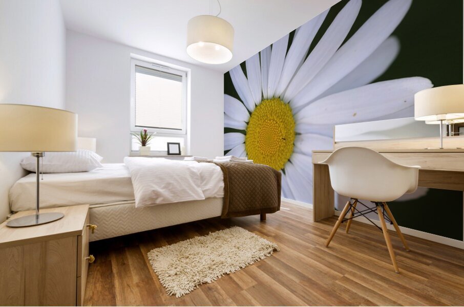 Daisy Cowichan Valley Vancouver Island British Columbia Canada Mural print