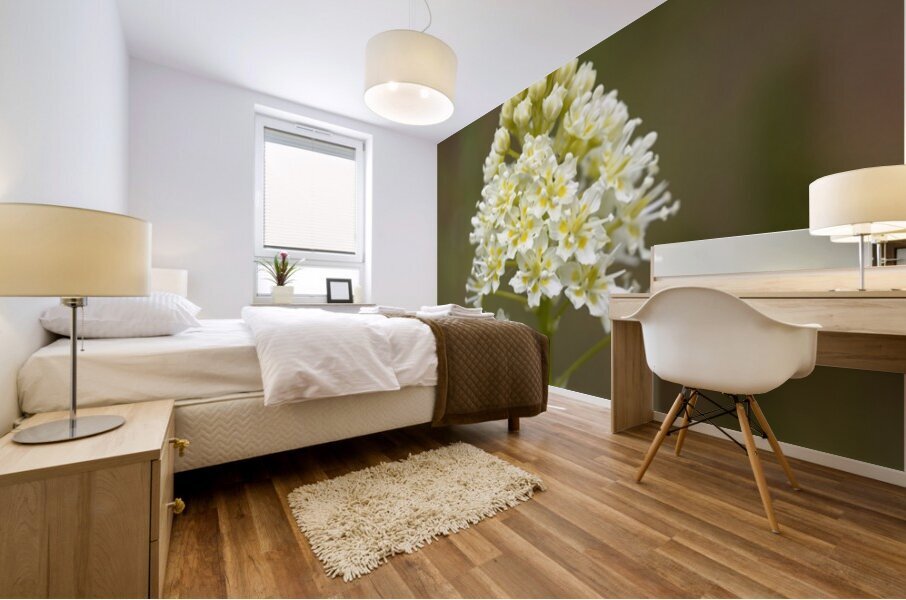 Death Camas or Meadow Death camas Zigadenus venenosus Cowichan Valley Vancouver Island British Columbia Canada Mural print