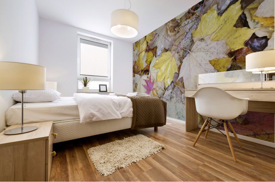 KO A04679 1 Mural print