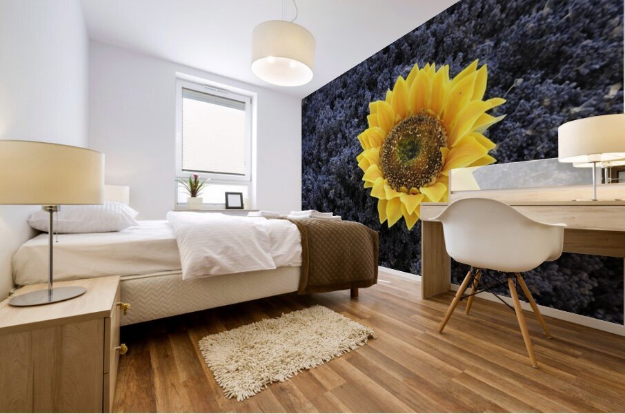 Dried sunflower in a bed of lavender flowers at Lourmarins street market Mural print