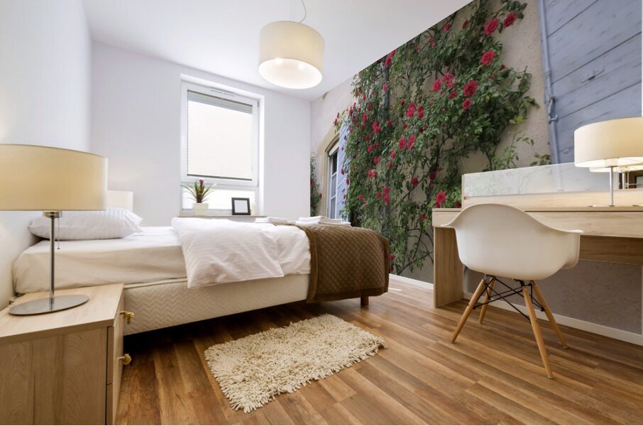 Roses climbing a wall Lourmarin Mural print