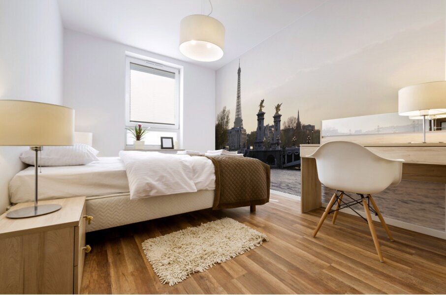 Pont Alexandre III and the Eiffel Tower from the Seine River - Paris Mural print