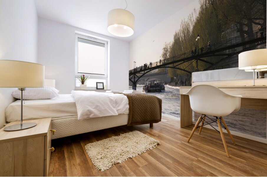 Tourist boat passing under Pont des Arts. Paris Mural print