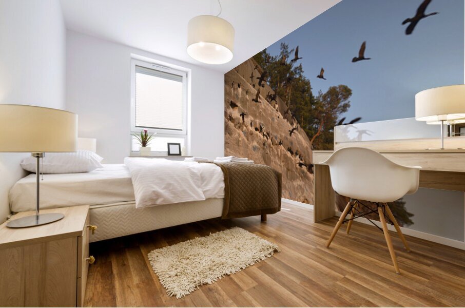 CORMORANTS FLYING ABOVE SCULPTED SANDSTONE CLIFFS Mural print