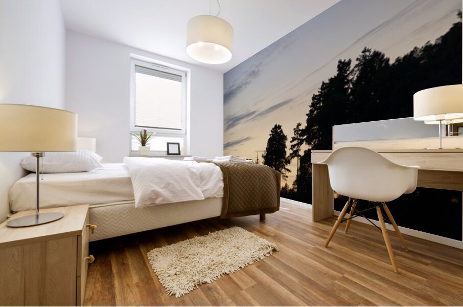 Silhouetted trees at sunset Mural print