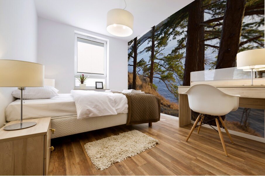 Fir trees on a grassy hillside. James Island Mural print