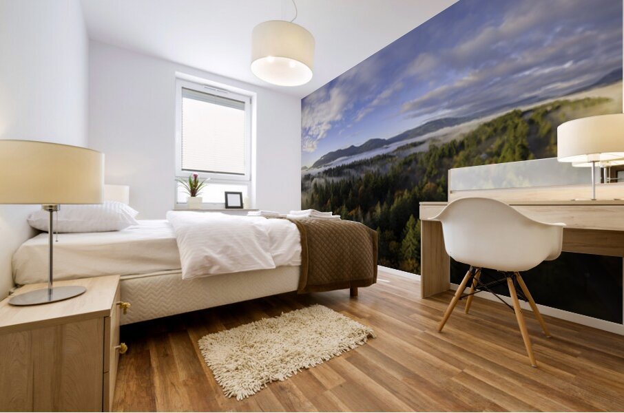 Spring Rays - Vancouver Island Mural print