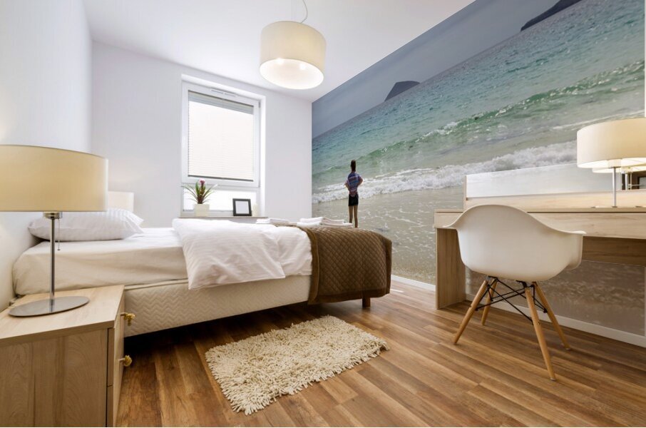 Looking out to sea at Punta Cormorant Floreana Island Galapagos Islands Ecuador Mural print