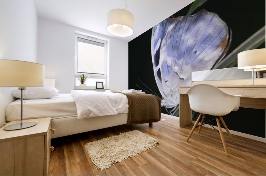 Butterfly at the La Selva Jungle Lodge butterfly farm Mural print