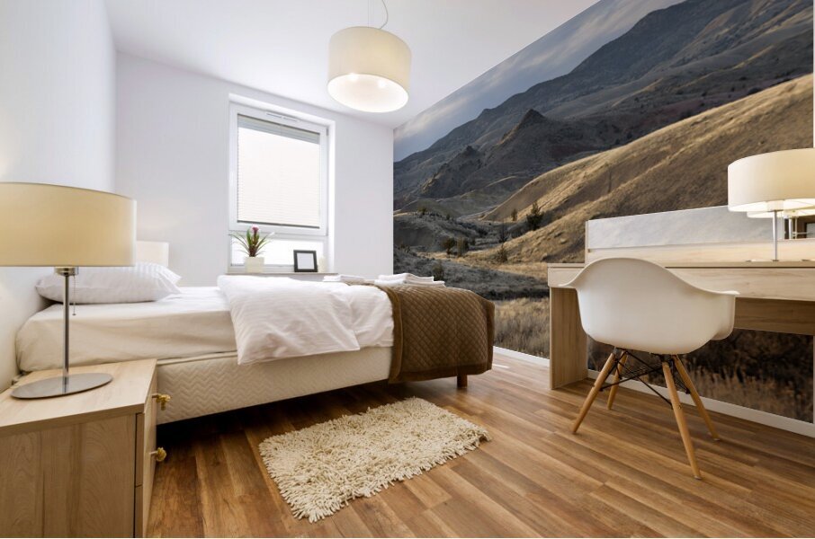 John Day Fossil Beds National Monument Oregon Mural print