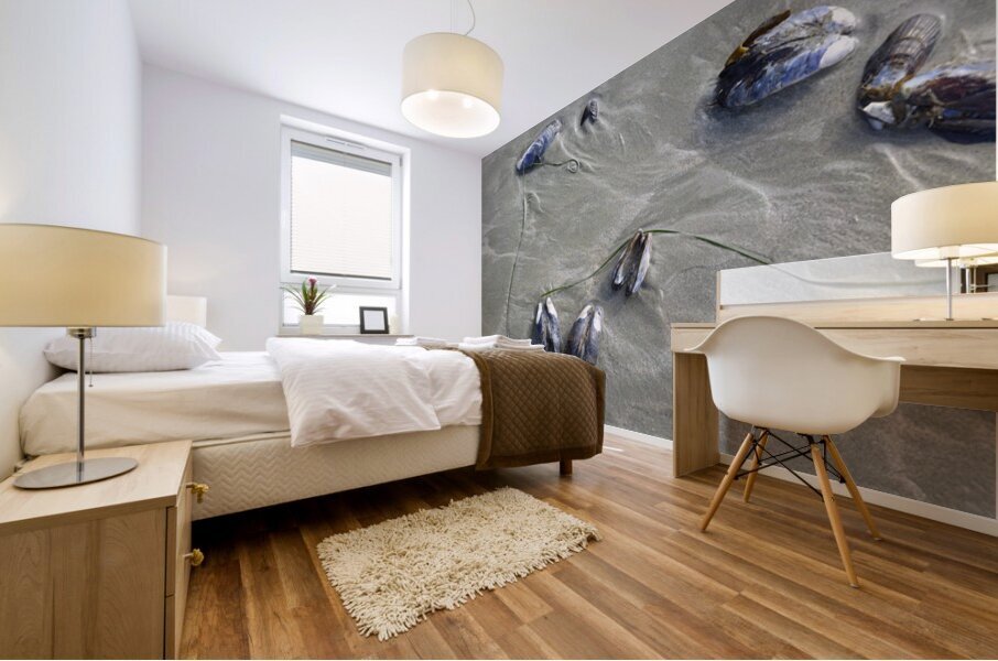 Abstract photo of mussels on the sand Chesterman Beach Mural print