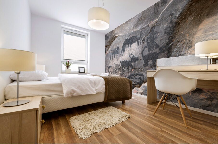 Black petroglyphs of animals Palatki Ruins Arizona USA Mural print