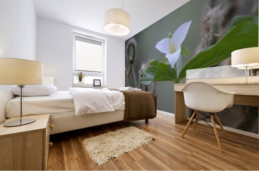 KO A17880 Mural print