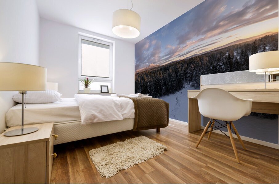 Cowichan Winter Sunrise Mural print