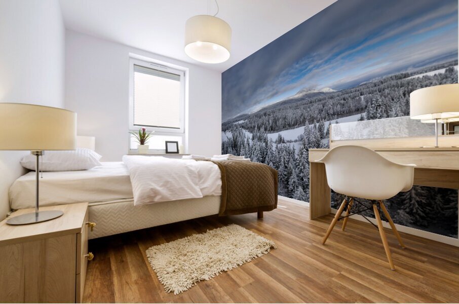 Cowichan Valley Winter Mural print