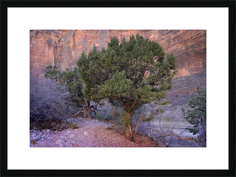 Zion National Park Utah Picture Frame print