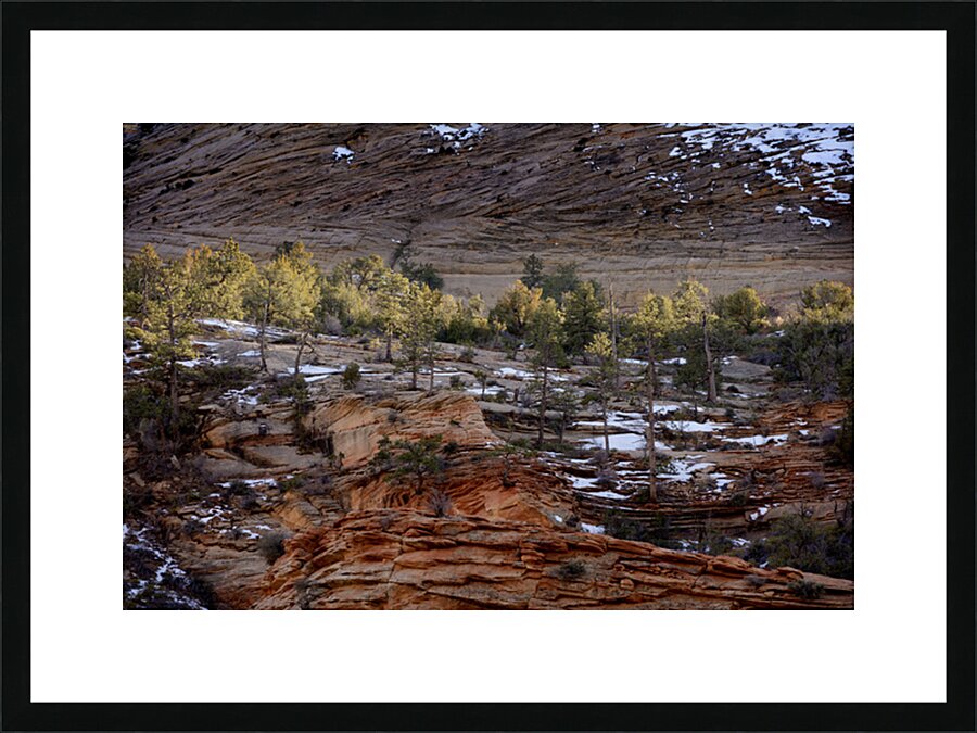 Zion National Park Utah Picture Frame print