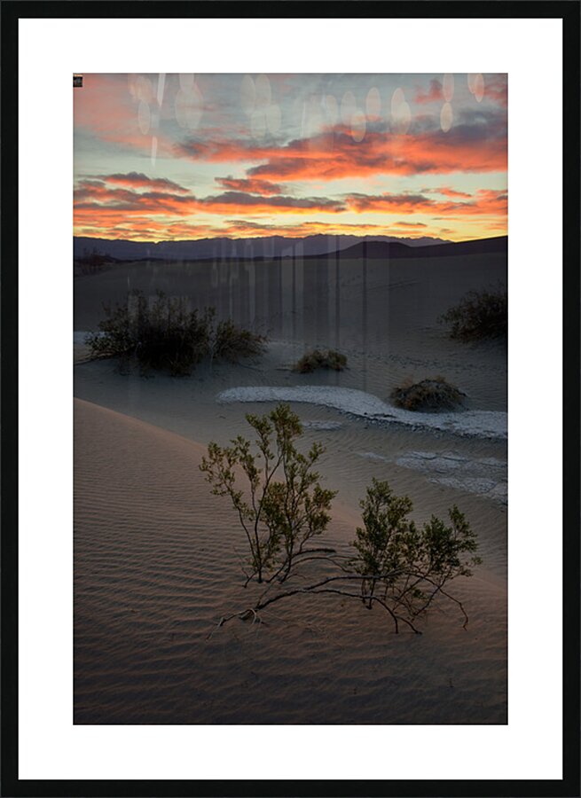 Mesquite Flat Sand Dunes Picture Frame print