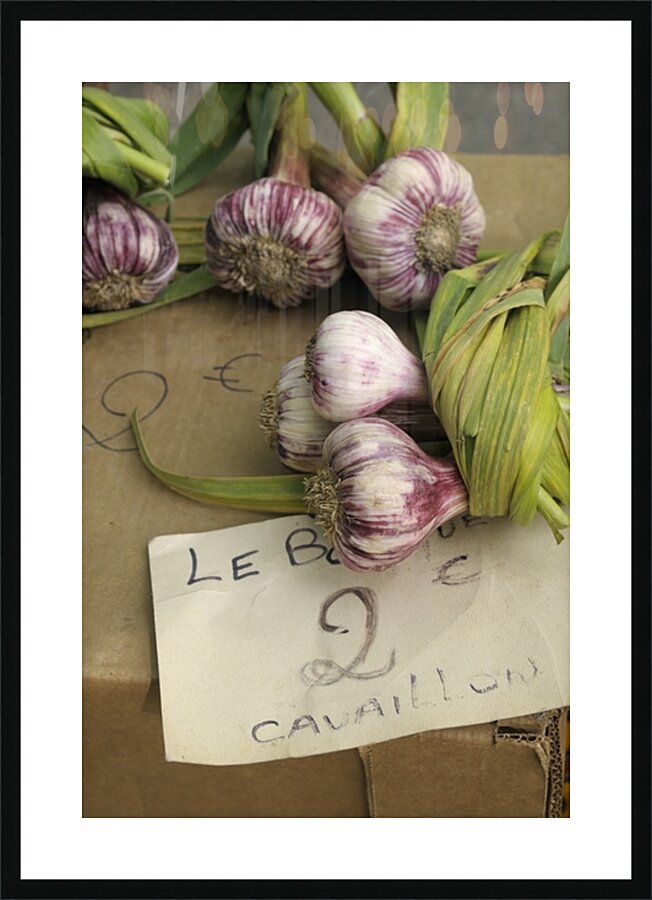 Fresh red garlic at the Lourmarin market Picture Frame print