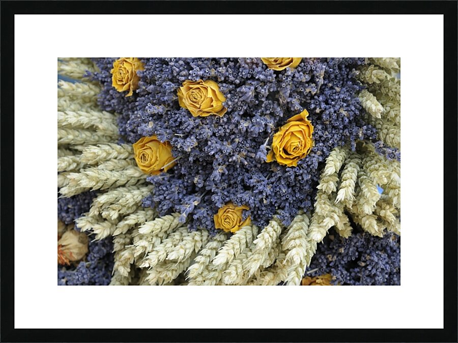 Dried yellow roses and lavender - Lourmarin Picture Frame print