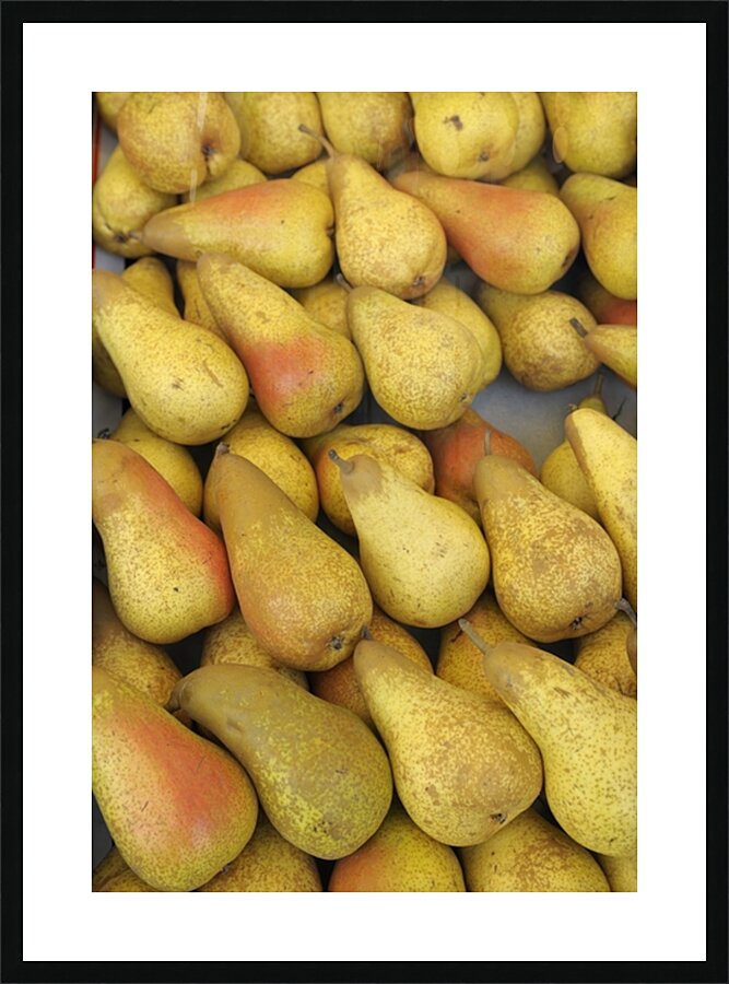 Pears at the Thursday Market - Boulevard Saint Germain - Paris Picture Frame print