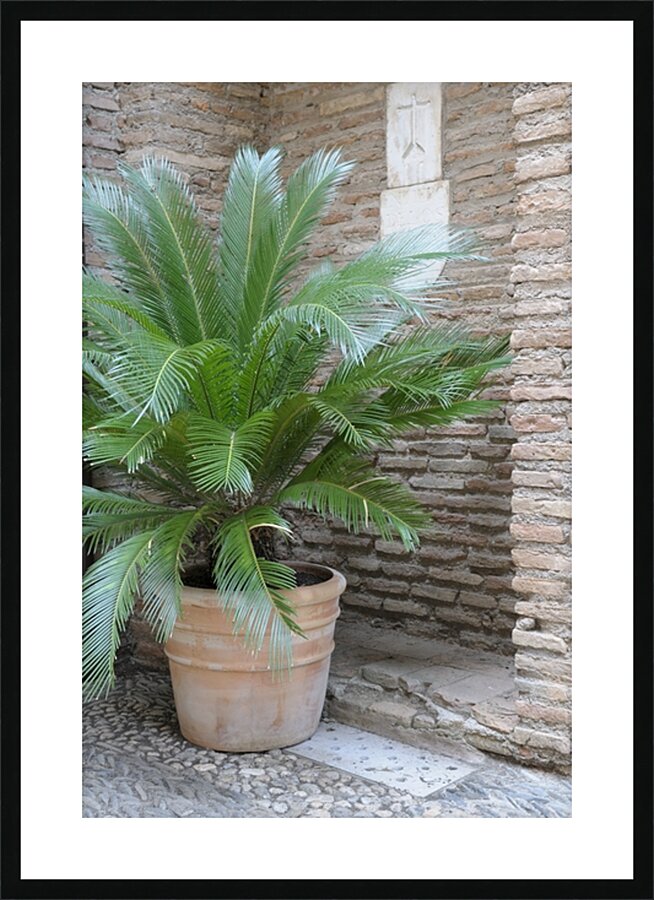 The Alhambra Granada Andalusia Spain Picture Frame print